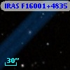IRAS F16001+4835