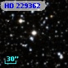 HD 229362