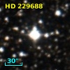 HD 229688