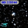 HD 229744