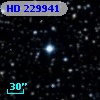 HD 229941