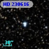HD 230616