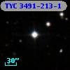 TYC 3491-213-1