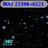 IRAS 22390+6521