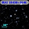 IRAS 18430+1646