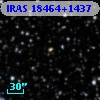 IRAS 18464+1437