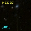 HCC 37