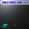 [MKZ2003] OID  224
