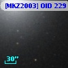 [MKZ2003] OID  229