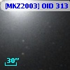 [MKZ2003] OID  313