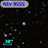 NSV  9555