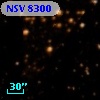 NSV  8300