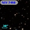 NSV  7480