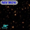 NSV  9874