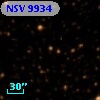 NSV  9934