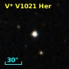 V* V1021 Her