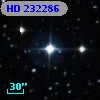 HD 232286