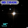 HD 238436