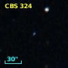 CBS 324