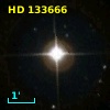 HD 133666