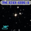 TYC 3213-1335-1