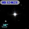 HD 124623