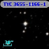 TYC 3655-1166-1