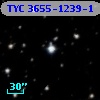 TYC 3655-1239-1