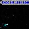 CNOC MS 1358  300019