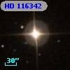 HD 116342
