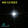 HD 117623