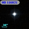 HD 116025