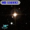 HD 116892