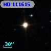 HD 111615