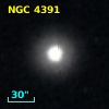 NGC  4391
