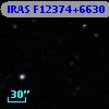 IRAS F12374+6630