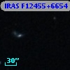 IRAS F12455+6654