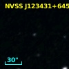 NVSS J123431+645555