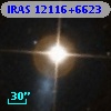 IRAS 12116+6623