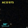 ACO   975