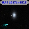 IRAS 10171+6525