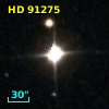 HD  91275