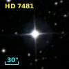 HD   7481
