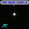TYC 4137-1287-1
