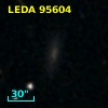 LEDA   95604