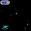 WD 0906+597