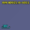 NVSS J092542+595812