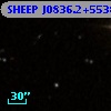 SHEEP J0836.2+5538