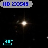 HD 233509