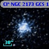 Cl* NGC 2173    GCS      10
